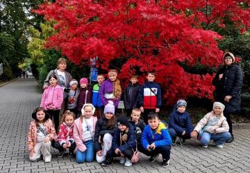 Wycieczka do Krakowa kl II i kl III