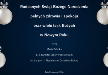 RADOSNYCH ŚWIĄT BOŻEGO NARODZENIA